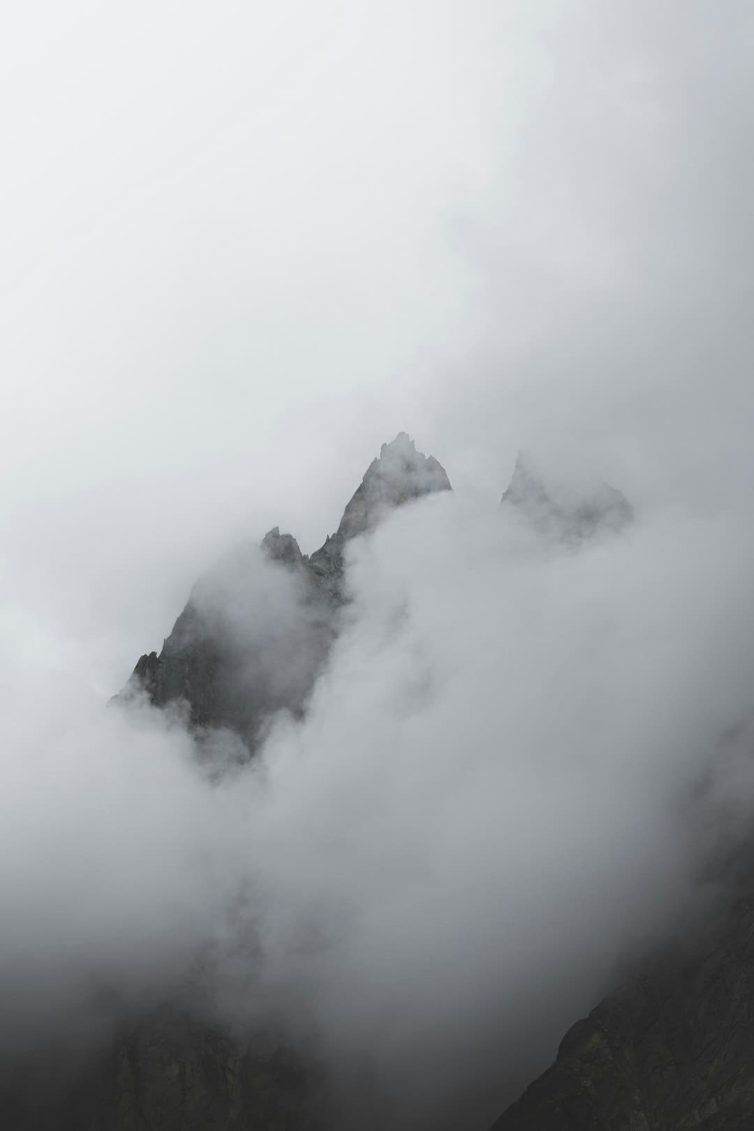 距城区缺乏10公里！雪豹现身拉萨近郊